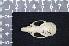  ( - IRD LAP-0004)  @11 [ ] CreativeCommons  Attribution Non-Commercial Share-Alike (2016) Yuli Sulistya Fitriana Indonesian Institute of Sciences, Museum Zoologicum Bogoriense