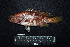  ( - IRD BMF-290.2)  @11 [ ] CreativeCommons  Attribution Non-Commercial Share-Alike (2016) Gino LIMMON Universitas Pattimura