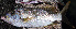  ( - IRD 20110123.2)  @11 [ ] CreativeCommons  Attribution Non-Commercial Share-Alike  Unspecified Institut de recherche pour le développement, France