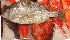  ( - IRD 20111113-E.2)  @11 [ ] CreativeCommons  Attribution Non-Commercial Share-Alike  Unspecified Institut de recherche pour le développement, France