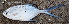  ( - IRD CARcal_20120604-Tbai2.2)  @11 [ ] CreativeCommons  Attribution Non-Commercial Share-Alike  Unspecified Institut de recherche pour le développement, France