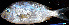  ( - IRD Ggra20071124-2.2)  @11 [ ] CreativeCommons  Attribution Non-Commercial Share-Alike  Unspecified Institut de recherche pour le développement, France