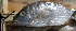  ( - IRD LETked_20120314-A.2)  @11 [ ] CreativeCommons  Attribution Non-Commercial Share-Alike (2012) F. Giancarlo Proyek Biokor, Indonesia