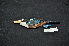  ( - IRD LGR-079.2)  @11 [ ] CreativeCommons  Attribution Non-Commercial Share-Alike (2014) Hidayat Hashari Indonesian Institute of Sciences, Museum Zoologicum Bogoriense