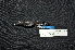  ( - IRD LGR-100.2)  @11 [ ] CreativeCommons  Attribution Non-Commercial Share-Alike (2014) Hidayat Hashari Indonesian Institute of Sciences, Museum Zoologicum Bogoriense