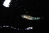  ( - IRD BIF 3055.2)  @11 [ ] CreativeCommons  Attribution Non-Commercial Share-Alike (2016) Laurent POUYAUD IRD