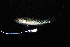  ( - IRD BIF 3057.2)  @11 [ ] CreativeCommons  Attribution Non-Commercial Share-Alike (2016) Laurent POUYAUD IRD