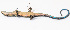  ( - IRD EAA230.2)  @11 [ ] CreativeCommons  Attribution Non-Commercial Share-Alike (2014) Unspecified Indonesian Institute of Sciences, Museum Zoologicum Bogoriense