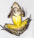  ( - IRD EAA299.2)  @11 [ ] CreativeCommons  Attribution Non-Commercial Share-Alike (2014) Evy Arida Indonesian Institute of Sciences, Museum Zoologicum Bogoriense