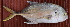  ( - Bar004)  @11 [ ] Copyright (c) (2022) Pieter-Jan Keleman School of Agronomy, University of Lisbon
