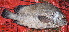  ( - Bar011)  @11 [ ] Copyright (c) (2022) Pieter-Jan Keleman School of Agronomy, University of Lisbon