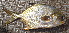  ( - Bar027)  @11 [ ] Copyright (c) (2022) Pieter-Jan Keleman School of Agronomy, University of Lisbon