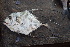  ( - AB-033)  @11 [ ] Copyright (c) (2021) Pieter-Jan Keleman School of Agronomy, University of Lisbon