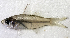  ( - BIM F-169)  @11 [ ] CreativeCommons - Attribution Share-Alike (2022) Unspecified Israel Oceanographic and Limnological Research