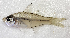  ( - BIM F-170)  @11 [ ] CreativeCommons - Attribution Share-Alike (2022) Unspecified Israel Oceanographic and Limnological Research