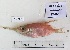  ( - BIM DS-282)  @11 [ ] Copyright (c) (2021) Paz G. Israel Oceanographic and Limnological Research
