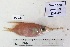  ( - BIM DS-282)  @11 [ ] Copyright (c) (2021) Paz G. Israel Oceanographic and Limnological Research