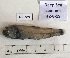  ( - BIM DS-289)  @11 [ ] Copyright (c) (2021) Paz G. Israel Oceanographic and Limnological Research