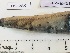  ( - BIM DS-289)  @11 [ ] Copyright (c) (2021) Paz G. Israel Oceanographic and Limnological Research