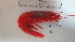  ( - BIM DS 06)  @11 [ ] No Rights Reserved (2013) Guy Paz IOLR