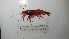  ( - BIM DS 11)  @13 [ ] No Rights Reserved (2013) Guy Paz IOLR