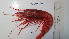  ( - BIM DS 42)  @11 [ ] No Rights Reserved (2013) Guy Paz IOLR