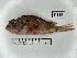  ( - BIM_F-185)  @11 [ ] No Rights Reserved (2023) Unspecified Israel Oceanographic and Limnological Research