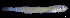  ( - BIM F-174)  @11 [ ] CreativeCommons - Attribution Share-Alike (2022) Unspecified Israel Oceanographic and Limnological Research