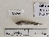  ( - BIM NA-564)  @11 [ ] Copyright (c) (2021) Paz G. Israel Oceanographic and Limnological Research