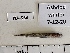  ( - BIM NA-564)  @11 [ ] Copyright (c) (2021) Paz G. Israel Oceanographic and Limnological Research