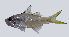  ( - BIM F-166)  @11 [ ] CreativeCommons - Attribution Share-Alike (2022) Unspecified Israel Oceanographic and Limnological Research