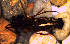  ( - MECN_AR_207)  @11 [ ] CC-BY-NC-ND (2024) INABIO INABIO