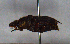  ( - MECN_CO_00051)  @11 [ ] CC-BY-NC-ND (2024) INABIO INABIO