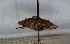  ( - MECN_CO_0728)  @11 [ ] CC-BY-NC-ND (2024) INABIO INABIO