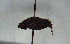  ( - MECN_CO_0906)  @11 [ ] CC-BY-NC-ND (2024) INABIO INABIO