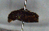  ( - MECN_CO_1710)  @11 [ ] CC-BY-NC-ND (2024) INABIO INABIO