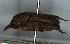  ( - MECN_CO_1744)  @11 [ ] CC-BY-NC-ND (2024) INABIO INABIO