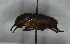  ( - MECN_CO_1746)  @11 [ ] CC-BY-NC-ND (2024) INABIO INABIO
