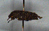  ( - MECN_CO_1747)  @11 [ ] CC-BY-NC-ND (2024) INABIO INABIO