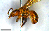  (Xenochlora - MECN_EN_34813)  @11 [ ] CC-BY-NC-ND (2024) INABIO INABIO