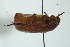  ( - MECN_EN_437)  @11 [ ] CC-BY-NC-ND (2024) INABIO INABIO
