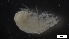  ( - G20-BW6-A75)  @11 [ ] C (2022) Unspecified Biologica Environmental Services