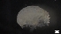  ( - G21-SW14-A80)  @11 [ ] C (2022) Unspecified Biologica Environmental Services