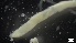  ( - G21-X-P174)  @11 [ ] C (2140) Unspecified Biologica Environmental Services