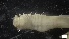  ( - G21-X-P354)  @11 [ ] C (2266) Unspecified Biologica Environmental Services