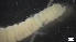  ( - G21-X-P374)  @11 [ ] C (2327) Unspecified Biologica Environmental Services