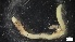  ( - G21-X-P376)  @11 [ ] C (2332) Unspecified Biologica Environmental Services