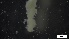 ( - G21-X-P377)  @11 [ ] C (2336) Unspecified Biologica Environmental Services