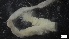  ( - G21-X-P443)  @11 [ ] C (2507) Unspecified Biologica Environmental Services