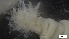  ( - G21-X-P443)  @11 [ ] C (2509) Unspecified Biologica Environmental Services